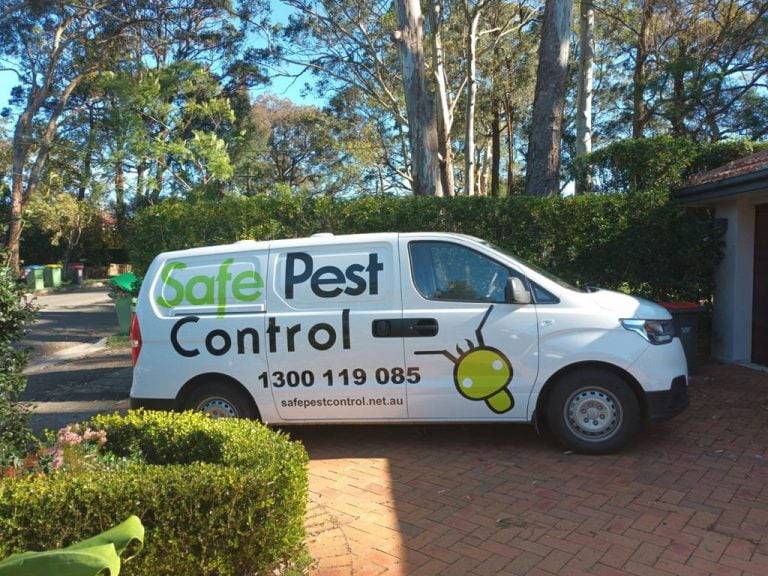 pest control in sydney